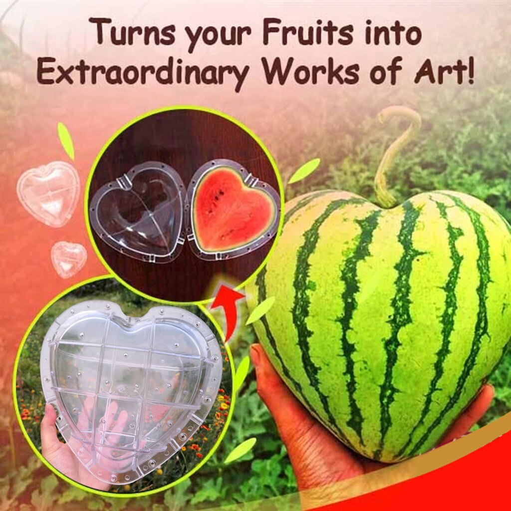 Garden Fruit Styling Mold heart shaped Watermelon growth molds Styling Die Heart Shaped Watermelon Mould Fruit Tree#0703G30