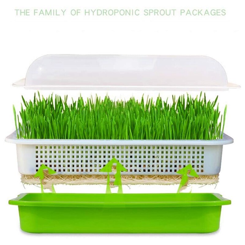 2-Piece Seed Germination Tray, Seed Germination Tray With Lid, Soilless Cultivation With Drainage Holes CNIM