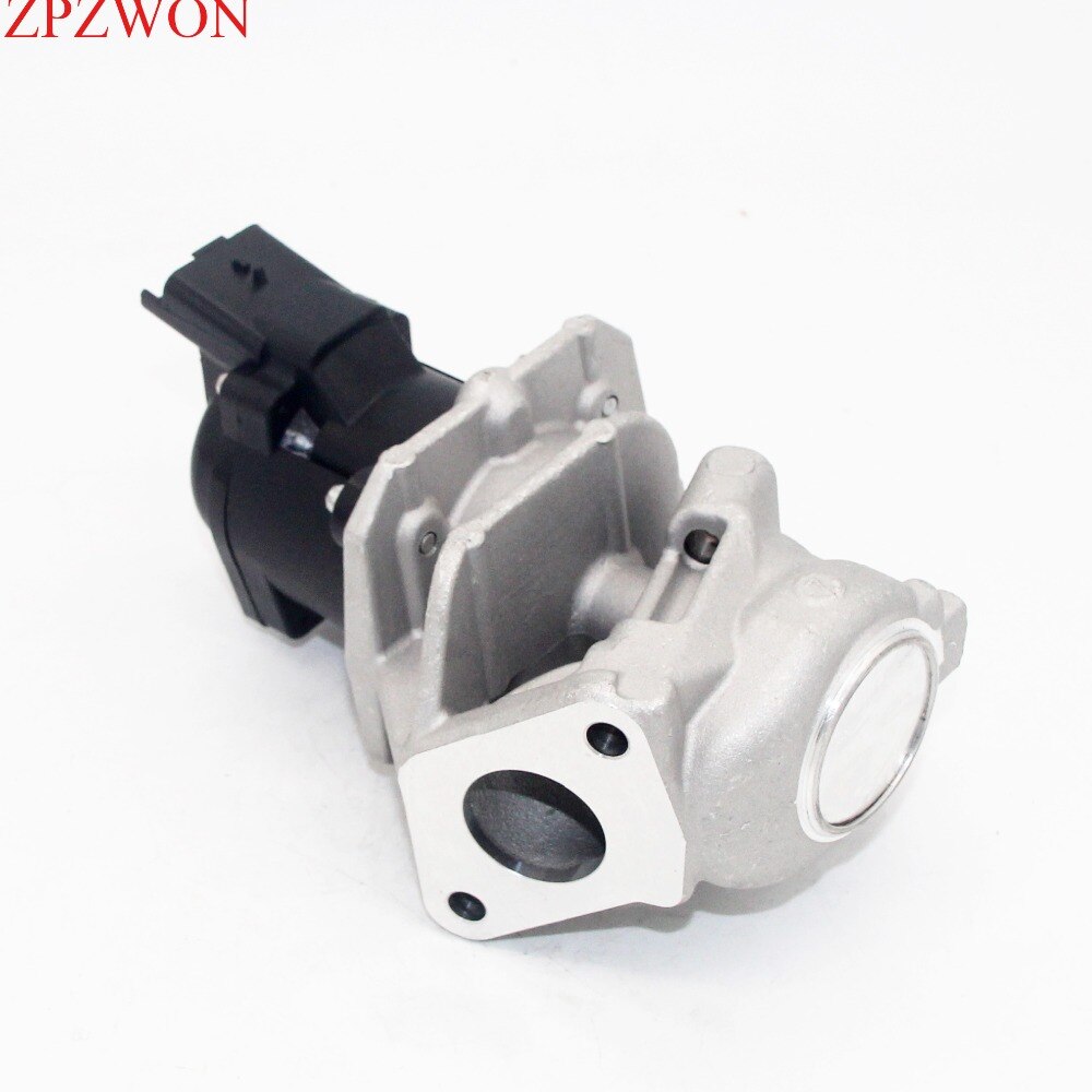 Für Peugeot 206 207 307 308 407 1,6 HDI Agr-ventil 1618.NR 161859 6NU010171-101 1618,59 9685640480 1618NR 1338675 5S6Q9D475AA
