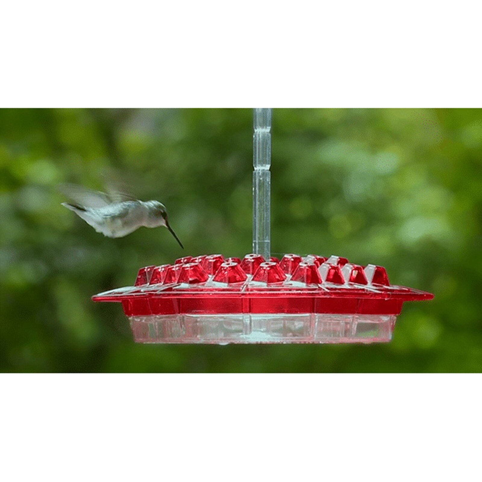 Lot De 5 Mangeoires Transparentes Pour Cage à Oiseaux - Faciles à Installer Et à Nettoyer - Pour Perruches Et Petits Oiseaux