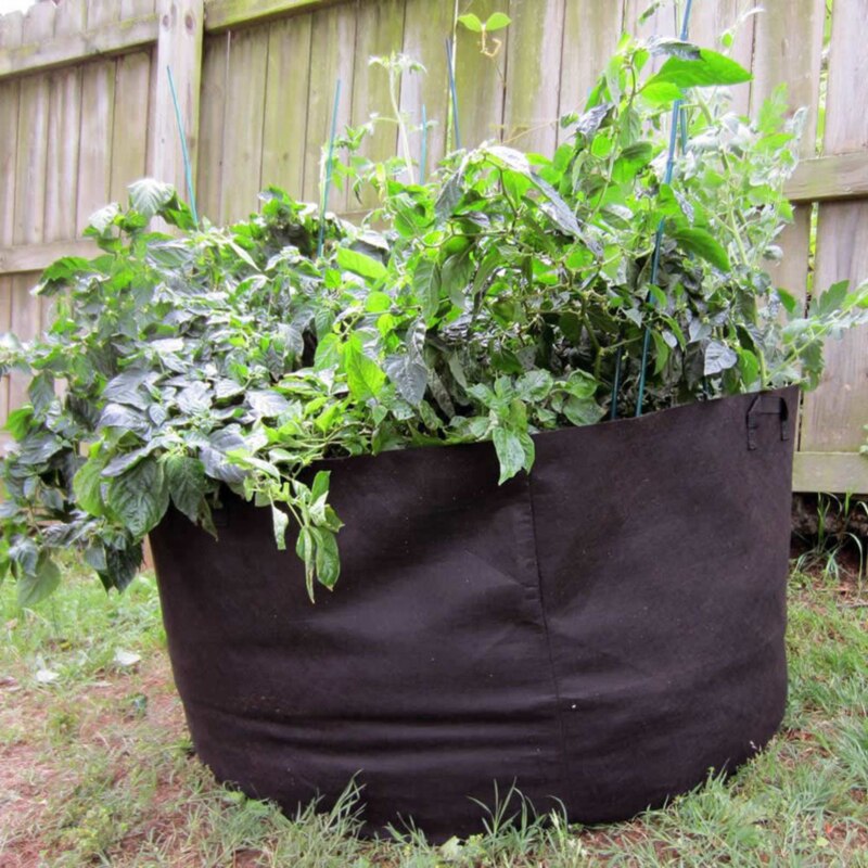 Non Woven Tree Fabric Pots Grow Bag Root Container Plant black hand with planting flowers nonwoven bags Grows Culture