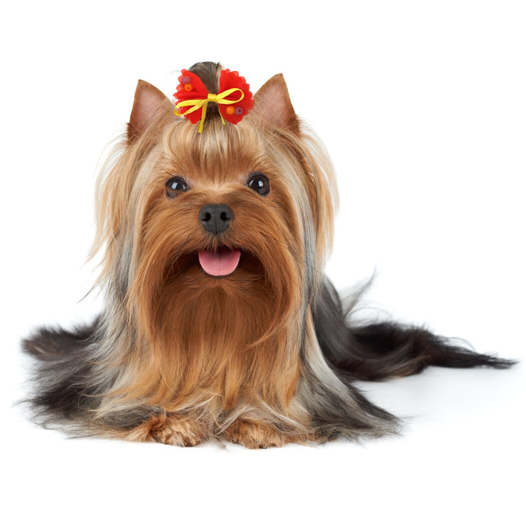 Lazo para el pelo de mascotas, accesorios para el cabello para vestido de de perros y gatos, 10 piezas