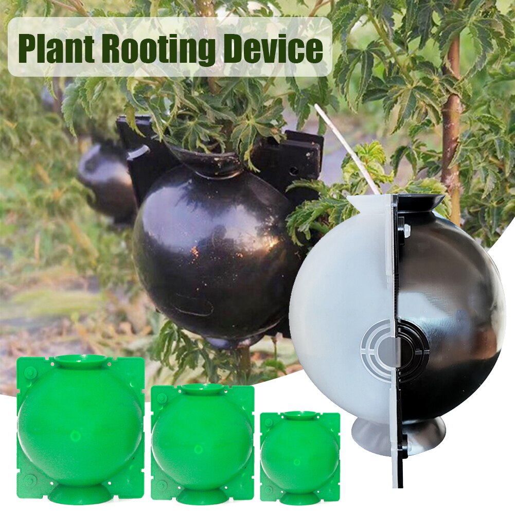 Box Plant Rooting Device Reusable Propagation Ball Indoor Outdoor Cutting Grafting Durable Air Layering Growing High Pressure
