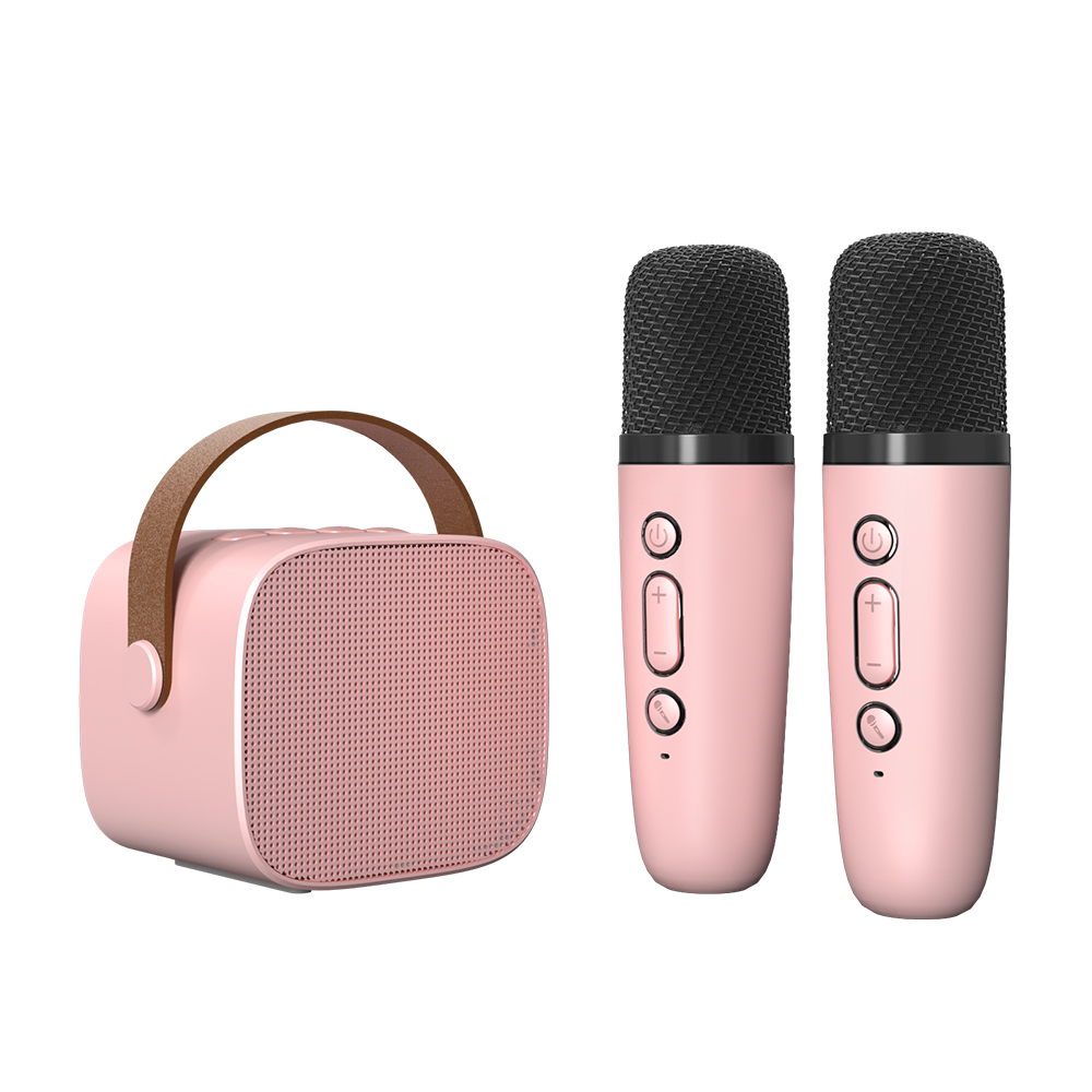 Luidsprekermicrofoons Bluetooth Karaoke-machine Miniluidspreker 5.3 PA-systeem Draagbare Bluetooth-luidspreker met draadloze microfoon voor thuis: GRIJS