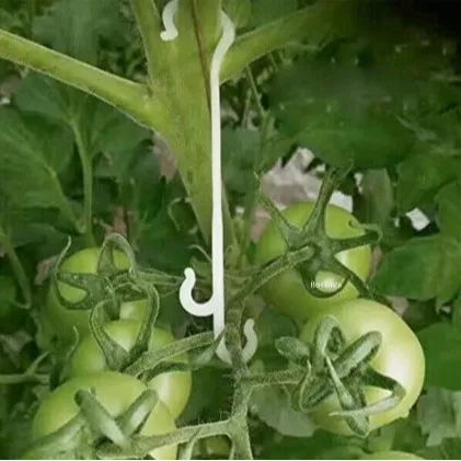 50/100 Stück Tomaten-Stützhaken, 9,5/13/16 cm, Pflanzen-Stütz-Gemüse-Clips, um Tomaten- und Obstcluster vor Kneifen zu verhindern