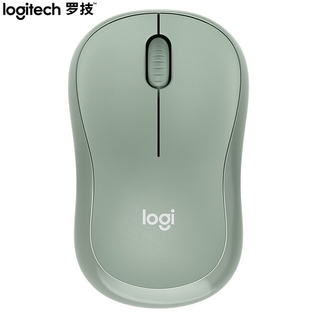 Logitech M221 Maus Wireless Nette Stille Maus Mit 2,4 GHz Optische Ergonomische PC Gaming Maus für Mac OS/Fenster 10/8/7: Mint Green-nobox