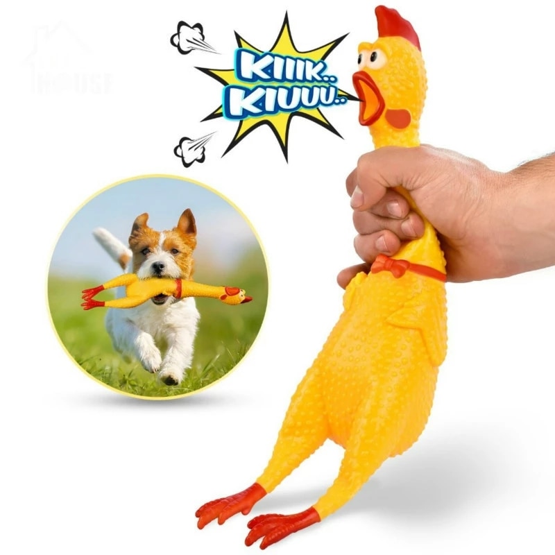 Skrikande kyckling husdjur hund leksaker klämma knarrigt ljud rolig leksak säkerhet gummi för hundar molar tugga leksaker