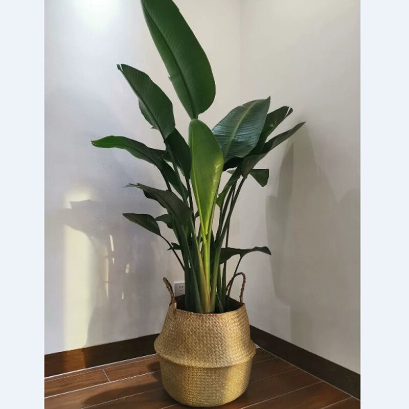 Handmade Seagrass Weaving Storage Baskets Foldable Basket Natural Straw Patchwork Wicker Rattan Belly Garden Flower Pot Basket