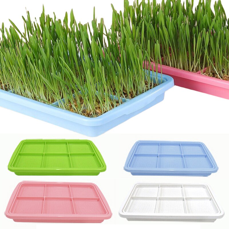 1pc Double Layer Planting Dishes Plate Bean Sprouts Seedling Tray Growing Wheat Seedlings Nursery Pots Plant Tool