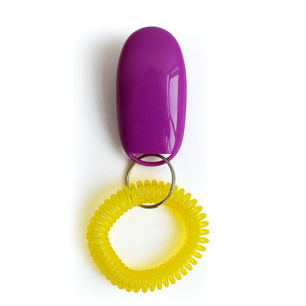 Mini Clicker pour chien de , jouets d'entraînement pour animaux de compagnie, accessoires d'obéissance, son avec dragonne: purple