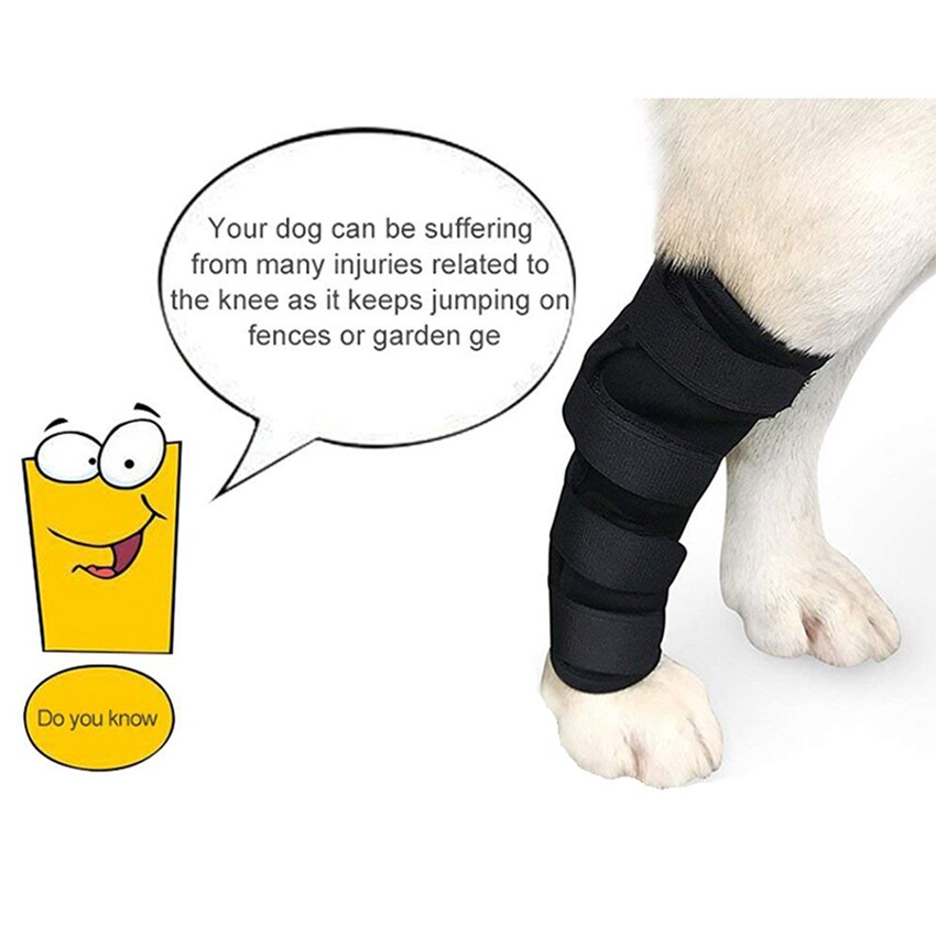 pies psi tylna noga orteza stawu skokowego staw skokowy zawinąć robić leczenia i zapobiega urazom i skręceniom pomaga w utracie stabilności (S-XL)
