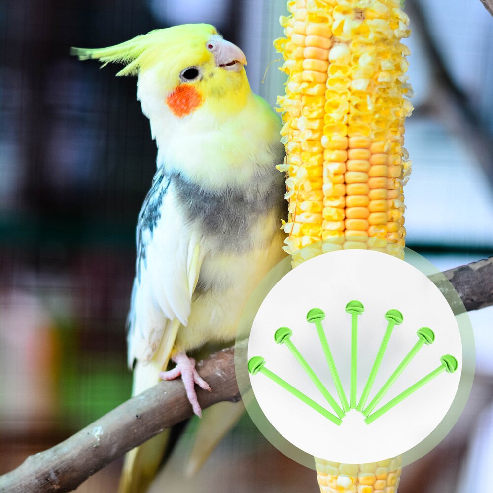 50 Uds Pie de pájaro con soportes para loros perca accesorios para jaulas de pájaros