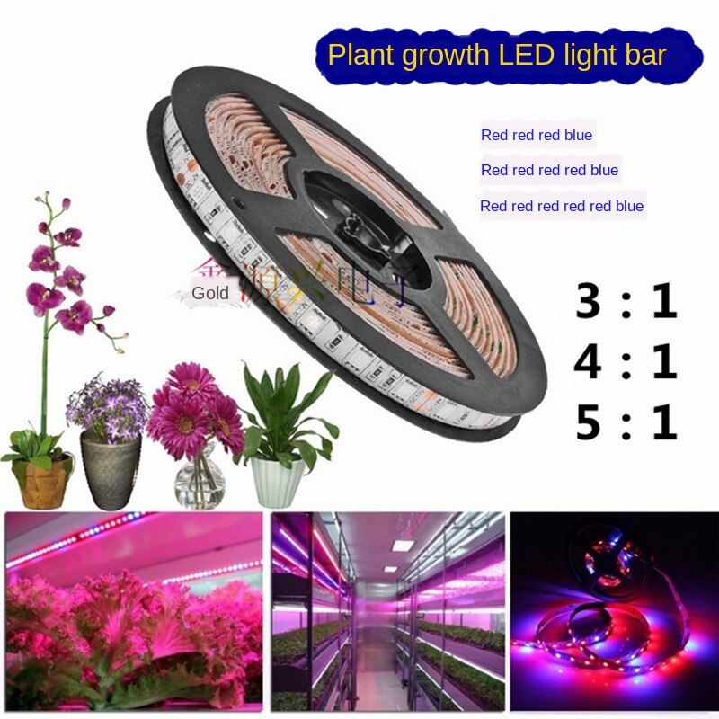 5050 Led Strip Voor Planten Groeien Led Licht Groeien Phyto Lamp Voor Planten Phytolamp Voor Zaailingen Phyto Lamp Voor Planten groeiende Groei