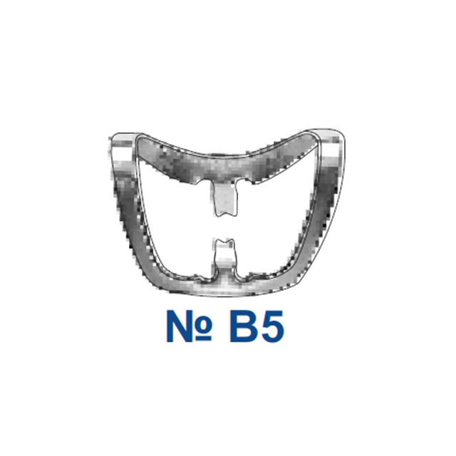Morsetti per dighe in gomma dentale B1 B2 B3 B4 B5 B6 morsetto per Brinker per incisivi anteriori e morsetti per canini per forniture dentali: B5