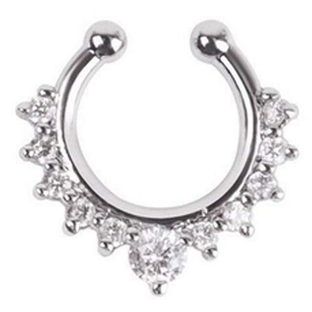 Legering Hoop Nose Ring Neus Piercing Nep Piercing Septum Clicker Nummers Hanger Voor Vrouwen Lichaam Sieraden: A