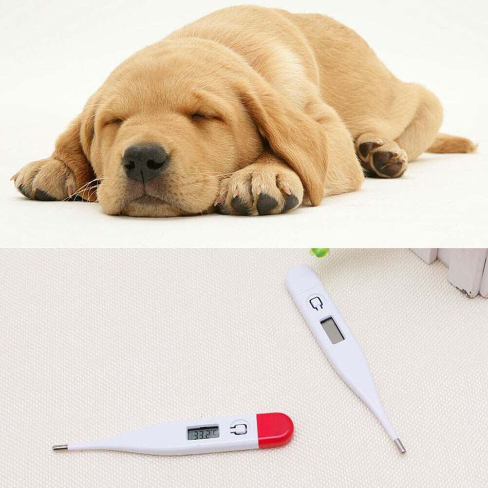 Instant Lezen Digitale Thermometer Klinische Digitale Temperatuur Opsporen Thermometer Voor Honden Kat (Willekeurige Kleur)
