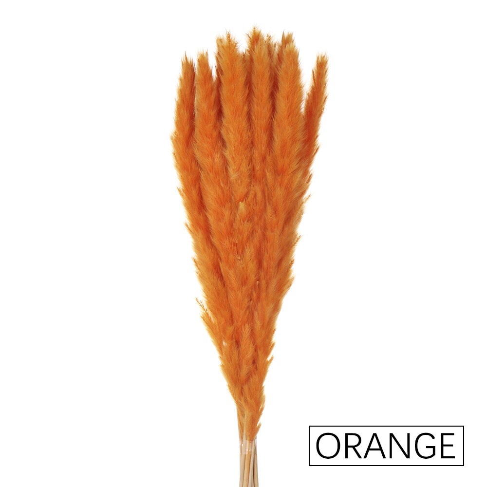 15/25 sztuk trzciny naturalne pszenicy kwiat bukiet suszone Pampas ślubny kwiat bukiet bukiety Bulrush dla Home Decor materiały ślubne: 15PCS-orange