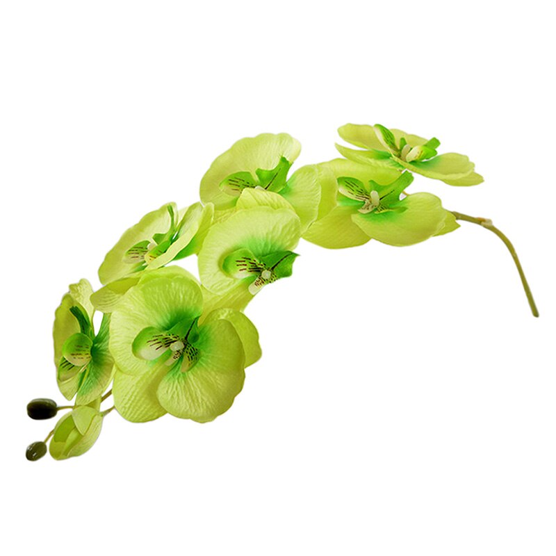Hjem bryllup dekoration orkidé kunstige blomster diy kunstige sommerfugl orkidé silke blomster buket phalaenopsis  p10: Grøn