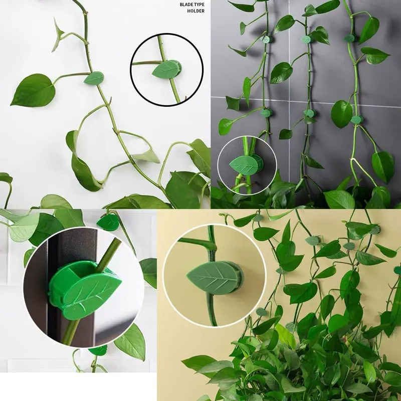 Clips de fijación de pared para plantas trepadoras, pegatina acrílica, gancho autoadhesivo, soporte de tracción para plantas y vid, decoración interior y exterior