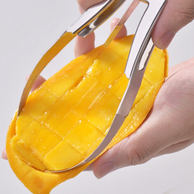 Stainless Steel Mango Watermelon Meat Extractor Fruit Slicing Pulp Separator Dragon Fruit Cutting Gourd