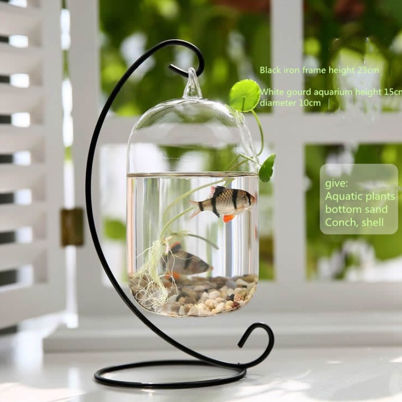 Hanging Mini Fish Tank Black Rack Glass Goldfish Tank Aquarium Household Bucket Fish Tank With Sand Conch Shell Plants: Black