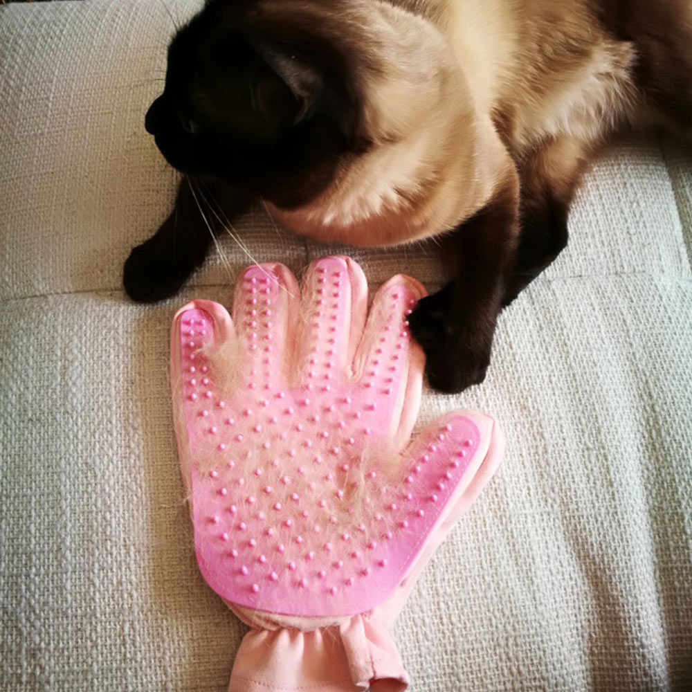 Dele 2 in 1 multifunctionele huisdier hond handschoen haarborstel siliconen huisdier schoonmaakbenodigdheden ontwolde borstel huisdier verzorging massage handschoen kammen