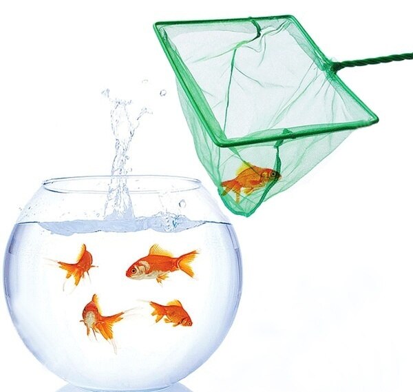 Red de pesca de Acuario, accesorio cuadrado de mango largo, Red de aterrizaje para peces, objetos flotantes, Red de cangrejo, secador de caña de pescar, Red de mano
