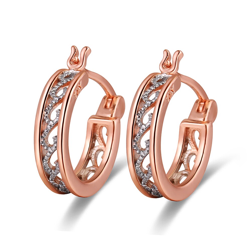 Classic Rose Gold Hoop Earring Voor Vrouwen Exquisite Hollow Craved Patroon Kristal Oorbel Mode Bruiloft Sieraden Voor Vrouwelijke: Hollow Earring