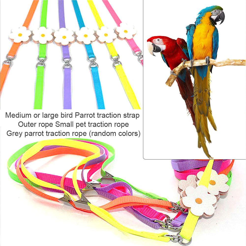 Parrot Harness Leash Flying Anti Bite Traction Rop Grandado