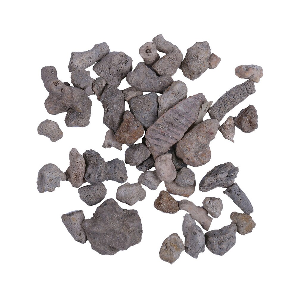 Boules d&#39;argile de corail 100g, charbon actif, accessoire de décoration d&#39;aquarium de paysage, réservoir d&#39;eau
