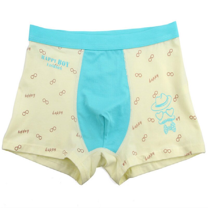 5Pcs/Lot Cotton Children's Underwear Boys Shorts Kid Boy Panties Cartoon Briefs Boxer Underpants Kids Pant 9-16T