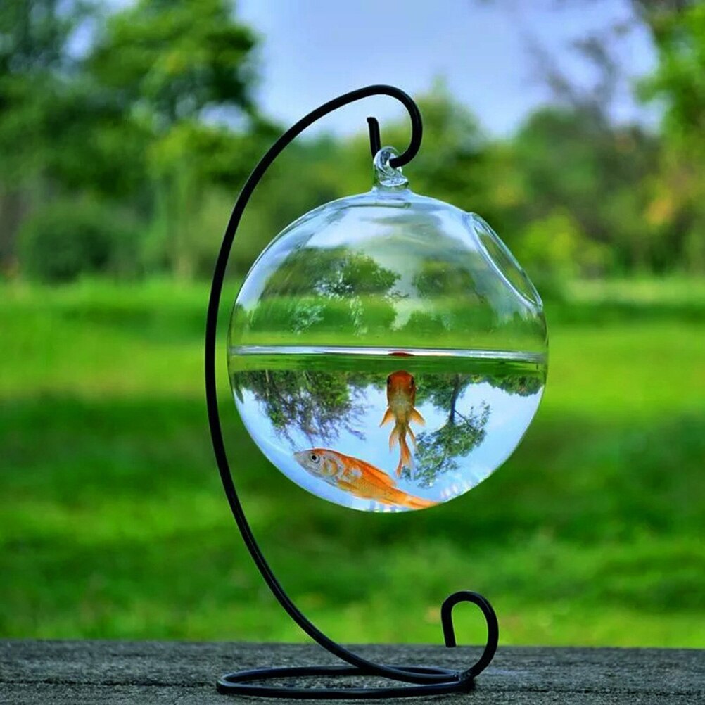 Bol à poissons d'aquarium en verre | Forme ronde suspendue, Aquarium réservoir de poissons, Vase à fleurs décoration de la maison 12cm de hauteur