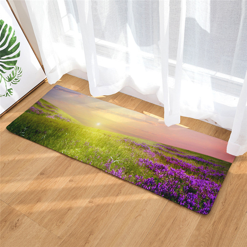 Peinture à la lavande antidérapante flanelle | 40x60cm, tapis de salle de bain, d'absorption d'eau, tapis de sol, tapis de porte, directe: 9
