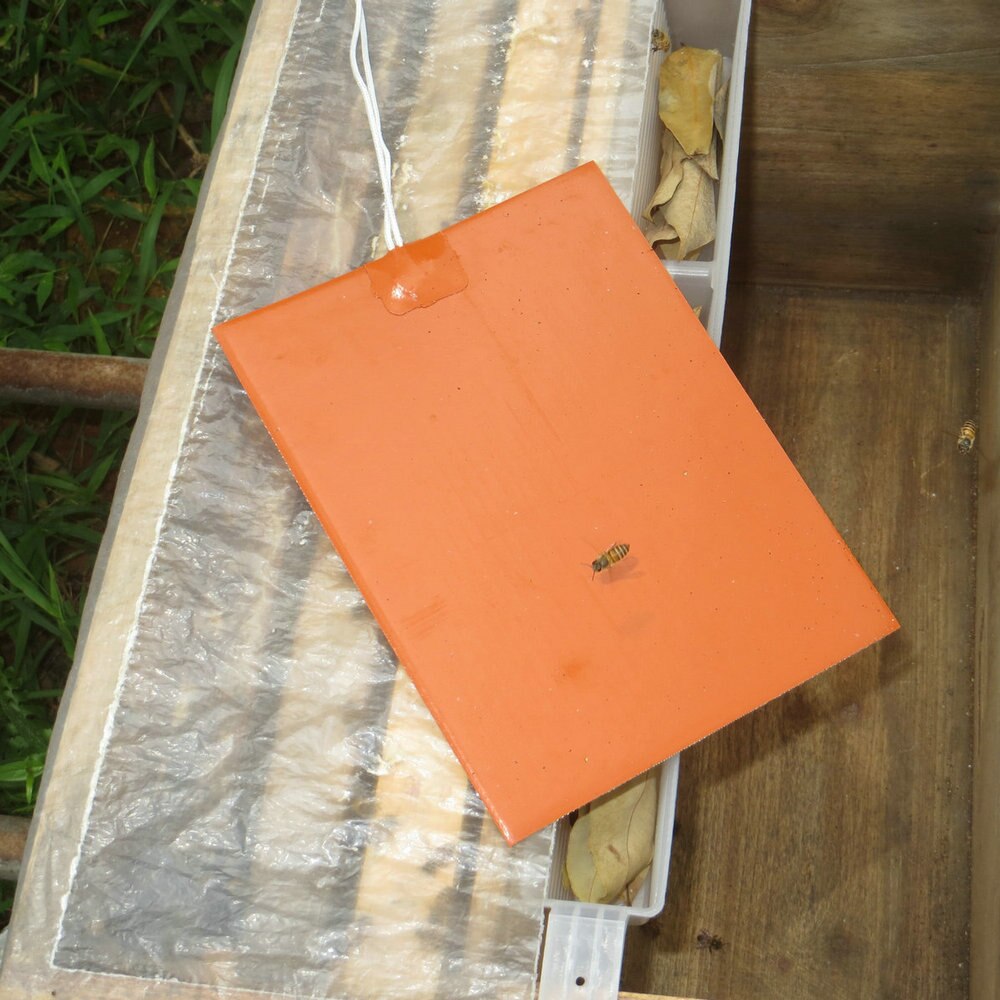 Hive Electric Heater Plate Beehive Silicone Heating Mat 12V 20W Heating Baking Mats Save Honey Beekeeper Bee Keeping Equipment