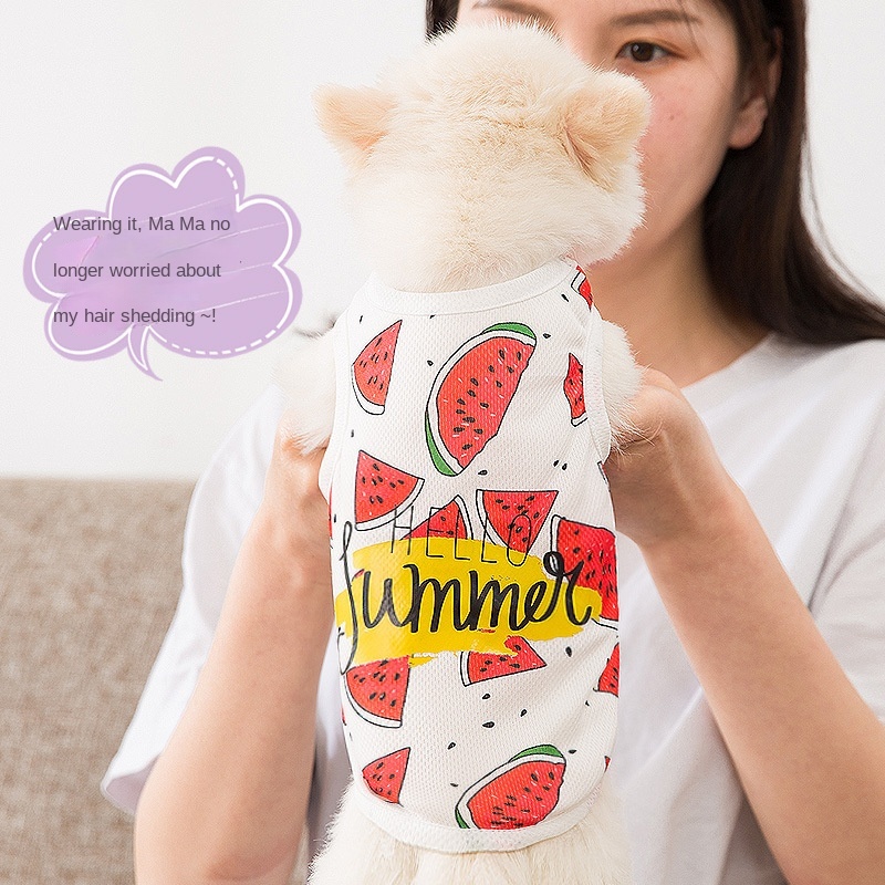Gittergewebe Tuch Atmungsaktive Katze Kleidung Sommer Zwei-auf Beinen Katze Weste Welpen Kühle Voll Druck Wassermelone aufbringen Kleidung
