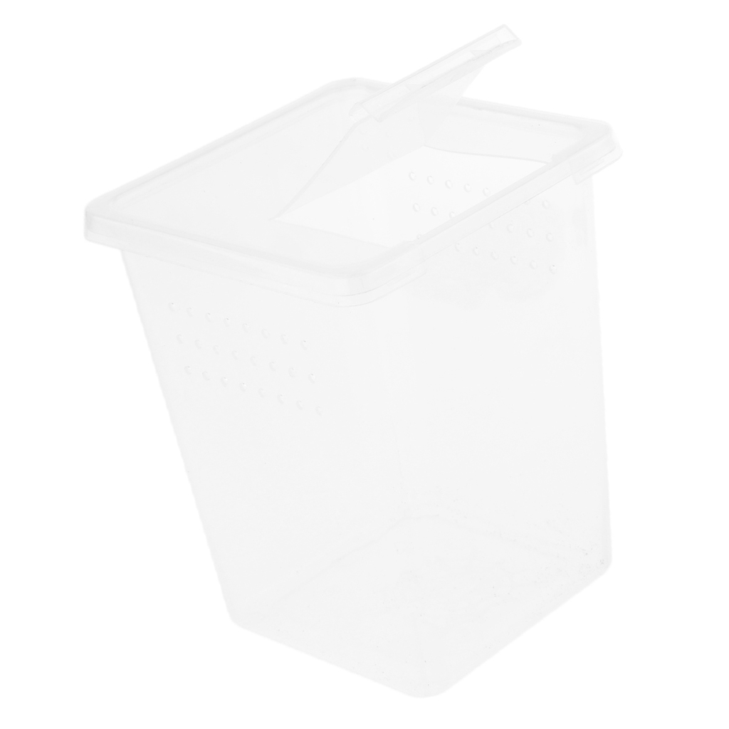 Plastic Insect Spider Habitat Feeding Box Cage Case Container 8x8x11cm