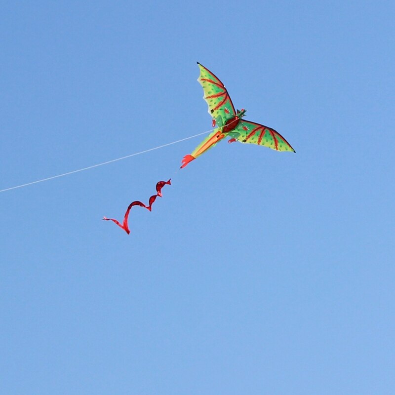 Aquiloni da spiaggia a forma di dinosauro morbido 3D di grandi dimensioni con bobina di linea intrattenimento senza cornice
