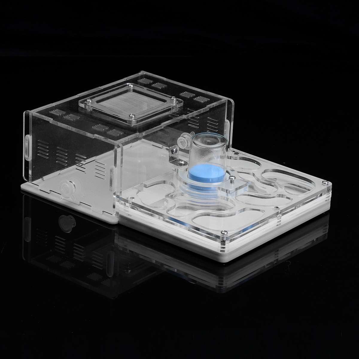 DIY Ameise Nest Ameise Bauernhof Ameisen Arbeit Pädagogisches Formicarium Acryl Insekt Ameise Nester Villa Haustier Manie Haus freundlicher: Weiß