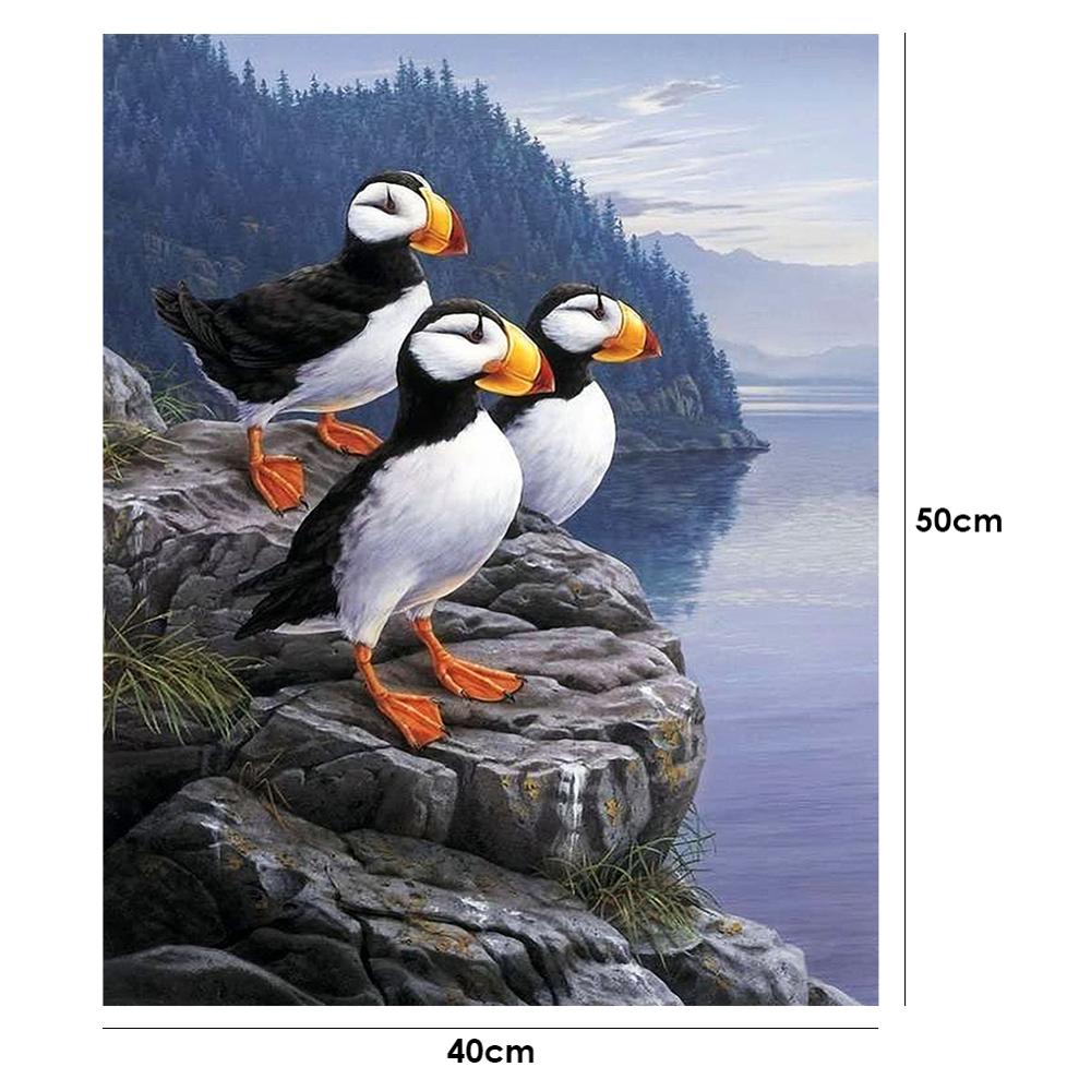 40x50cm Oli peinture par numéros Kit bricolage féroce aigle toile huile Art photo décor à la maison Animal fait main pas de cadre: 09