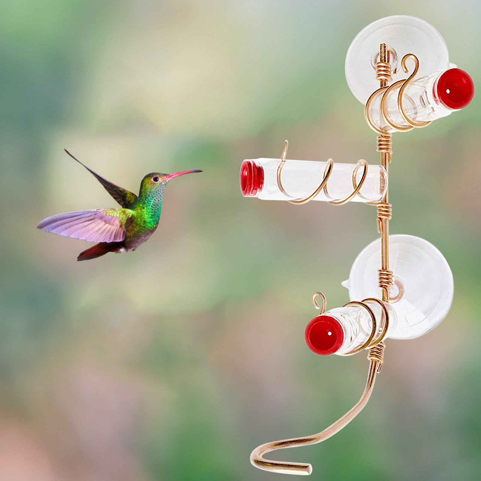 Innovative Suction-cup Hummingbird Feeder Parrot Lovebird Pigeon Hanging Viewing Feeding Tool Container Pet Supplies Accessories