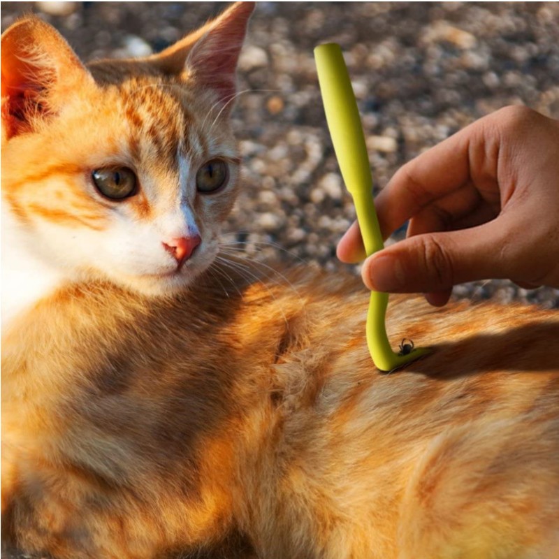 Pet Vlooien Removal Tool Kit Plastic Krashaak Verwijderaar Huisdier Kat Hond Grooming Benodigdheden Tick Removal Tool Pincet Clip