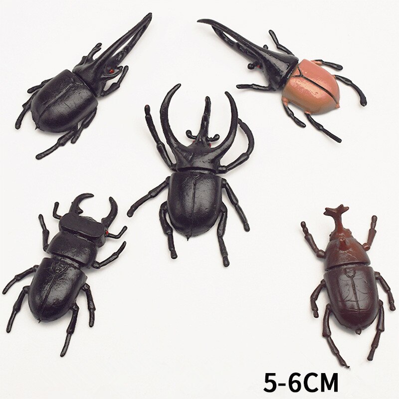 5Pcs 5.5Cm Simulatie Kever Speelgoed Speciale Levensechte Model Simulatie Insect Speelgoed Kwekerij Leermiddelen Grap Speelgoed