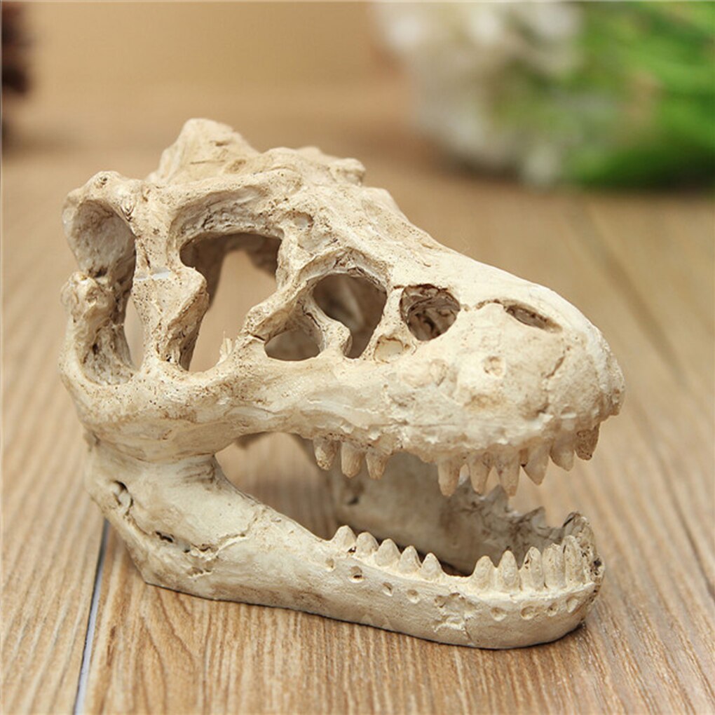 Acuario de resina de dragón, decoración de terrario, Cráneo de cocodrilo para pecera, adorno de resina para decorar tu acuario, 1 ud.