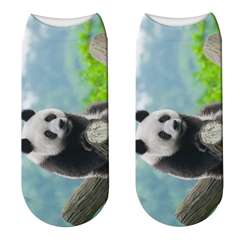 Casual, coole panda-patroon harajuku sokken voor dames, hipster, grappige katoenen korte sokken, vrouwelijke kunst, lage dunne sokken: Stijl 11