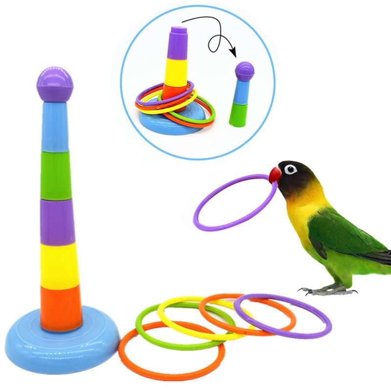 Juego de anillos de plástico para pájaros, juguete de inteligencia para entrenar loros, anilla para lanzar, altura ajustable, creativa, juguetes de aves, suministros de aves: Default Title
