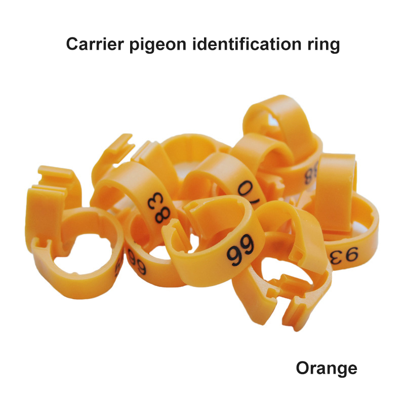 100Pcs Duif Been Met Gevogelte Duif Vogel Papegaai Clamp Ring Met Voet Ring Vogel Markering Ring Huisdier Vogel Benodigdheden vogel Accessoires: orange