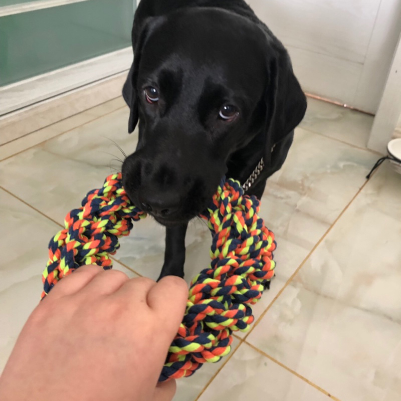 Juguete de cuerda resistente a las mordeduras para perros grandes y medianos, duradero, Golden Retriever, Pitbull, Labrador, suministros para mascotas
