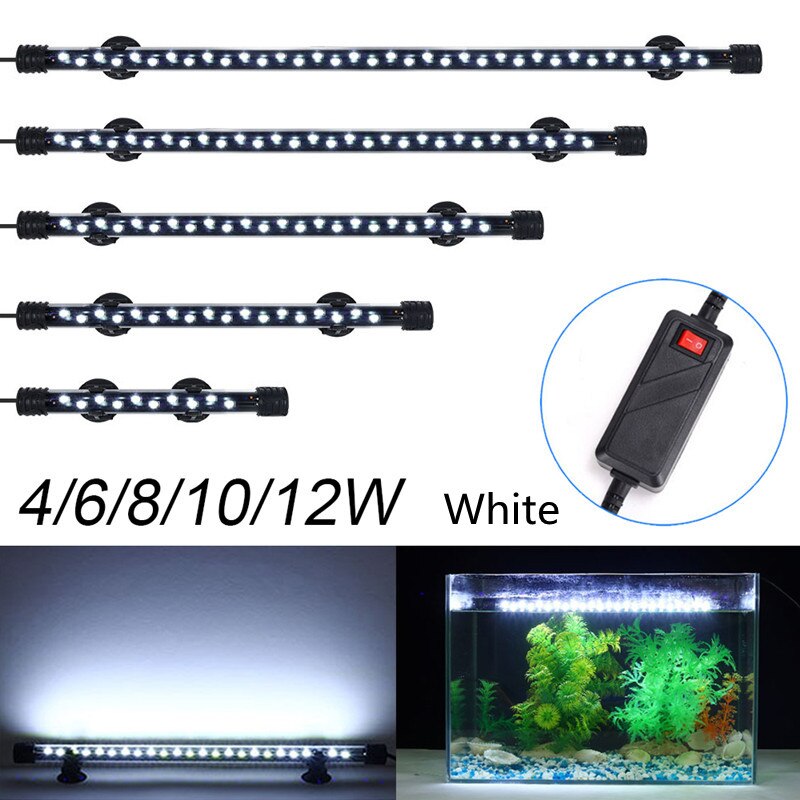 Luci per acquari impermeabili luci sommergibili luce per acquario luce subacquea blu/bianca LED lampada decorativa per abbellimento: White / 4W