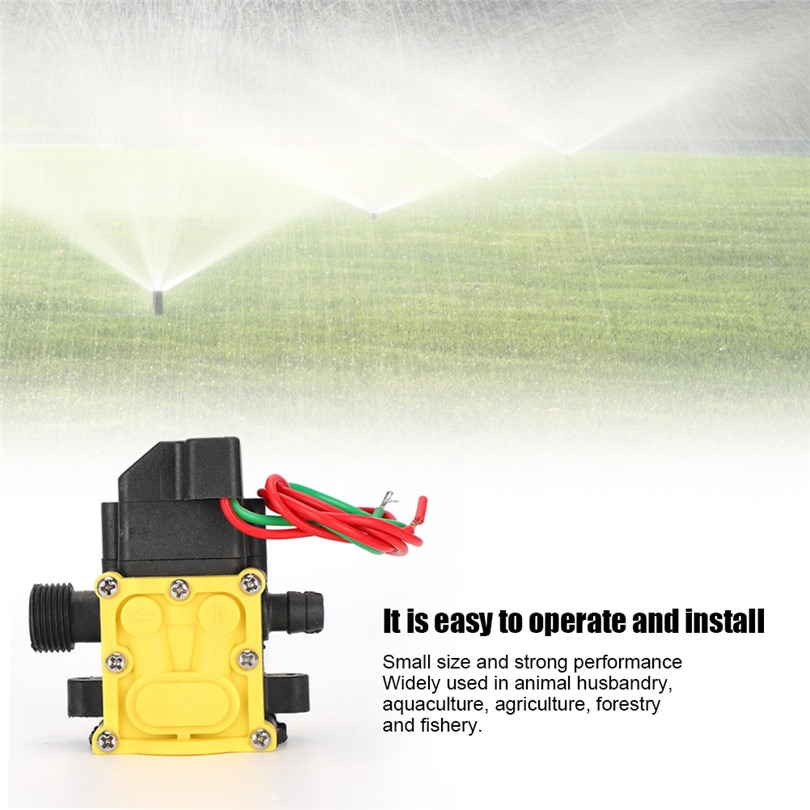 Garden Sprinkler Water Pump 12V Diaphragm Pressure Pump Agriculture Garden Electric Sprayer Water Pump Irrigation Accessories