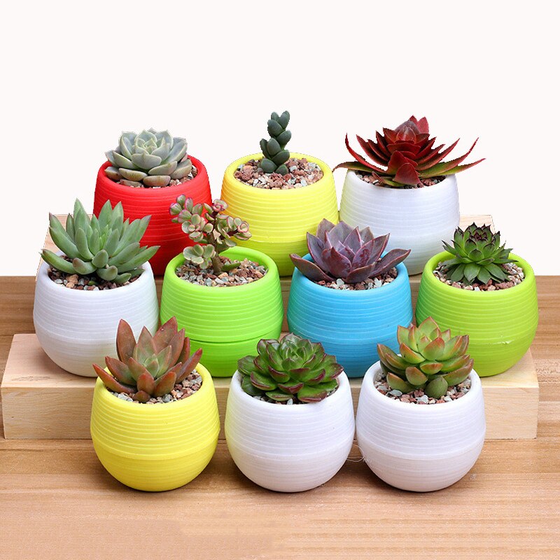 Eco-friendly Colourful Mini Round Plastic Plant Flower Pot Garden Home Office Decor Planter 7cm